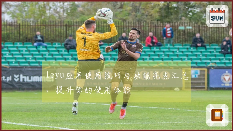 leyu应用使用技巧与功能亮点汇总，提升你的使用体验