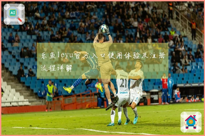 乐鱼leyu官方入口使用体验及注册流程详解