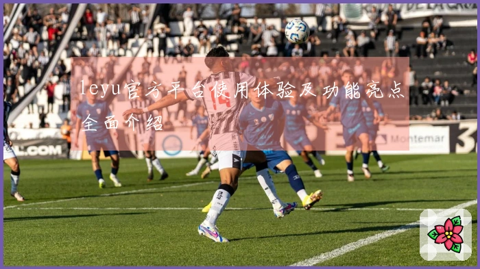 leyu官方平台使用体验及功能亮点全面介绍