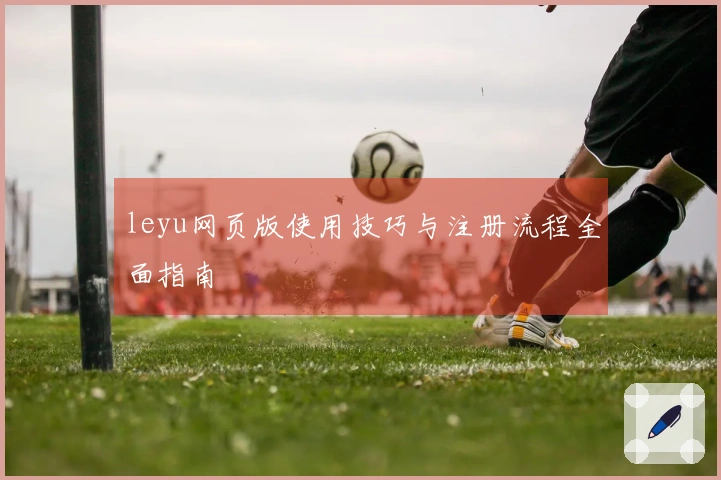 leyu网页版使用技巧与注册流程全面指南