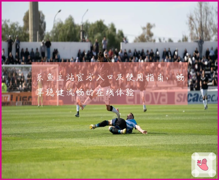 乐鱼主站官方入口及使用指南，畅享稳健流畅的在线体验