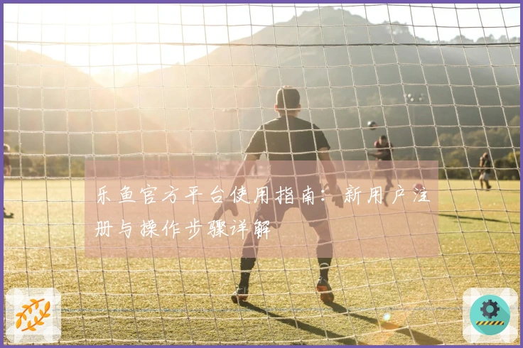 乐鱼官方平台使用指南：新用户注册与操作步骤详解