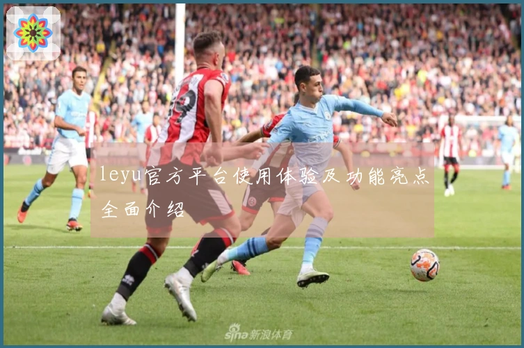 leyu官方平台使用体验及功能亮点全面介绍