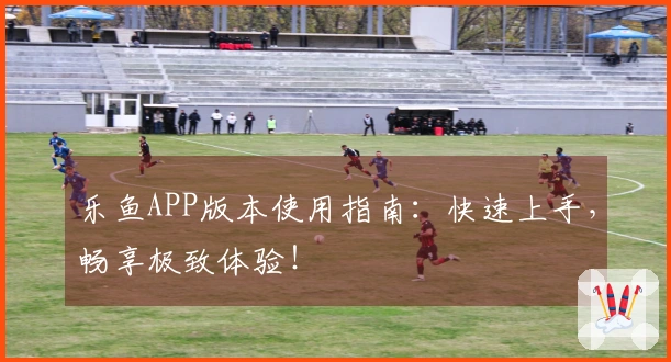 乐鱼APP版本使用指南：快速上手，畅享极致体验！