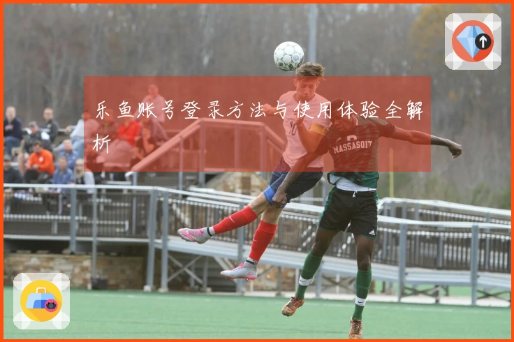 乐鱼账号登录方法与使用体验全解析