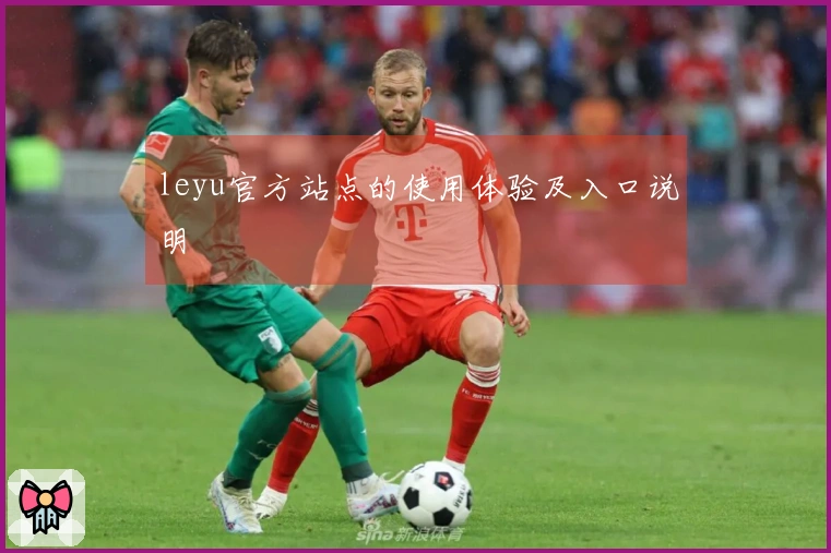 leyu官方站点的使用体验及入口说明