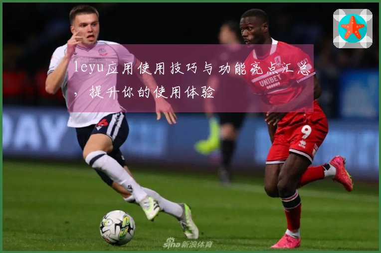 leyu应用使用技巧与功能亮点汇总，提升你的使用体验